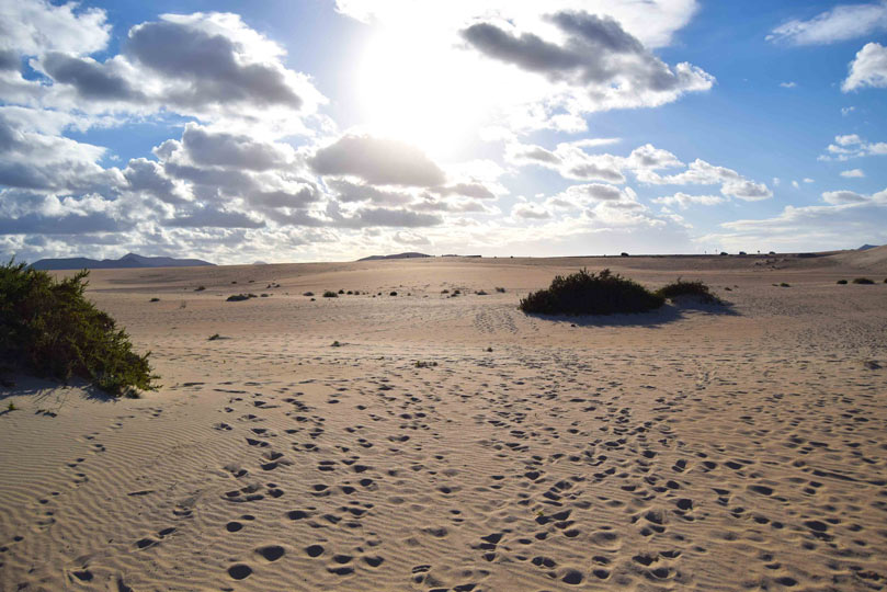 dune portopino
