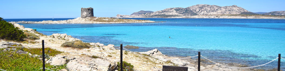 portopaglietto